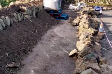 Pembrokeshire Hedgebank – Meadow Creations