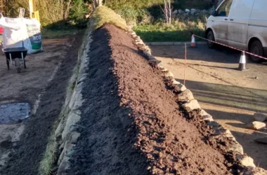 Pembrokeshire Hedgebank – Meadow Creations