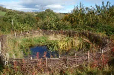 Woodland Skills Centre