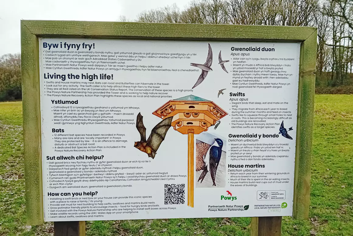 Wildlife Nest Tower Installed in Local Nature Reserve