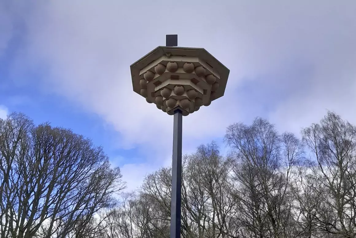 Wildlife Nest Tower Installed in Local Nature Reserve