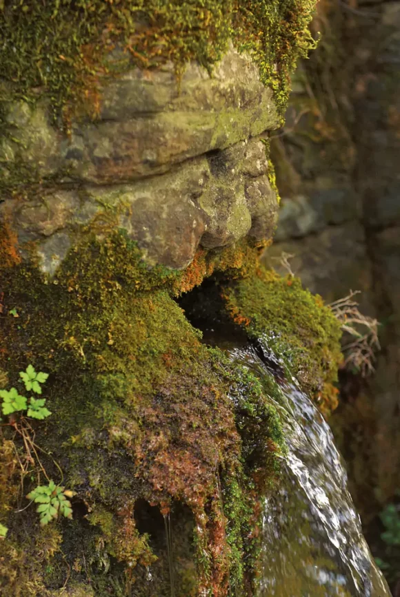 Water That Plays the Oldest Music Sacred Springs and Holy Wells