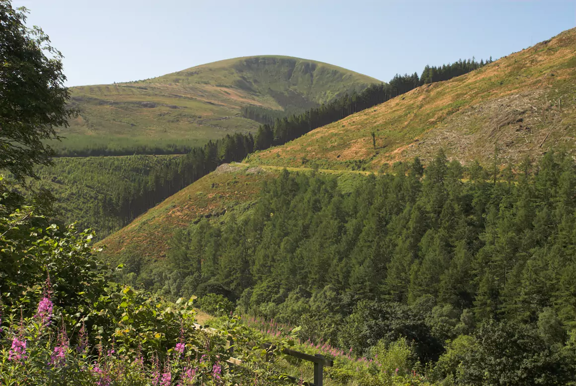 The Tarren Hills, North Wales