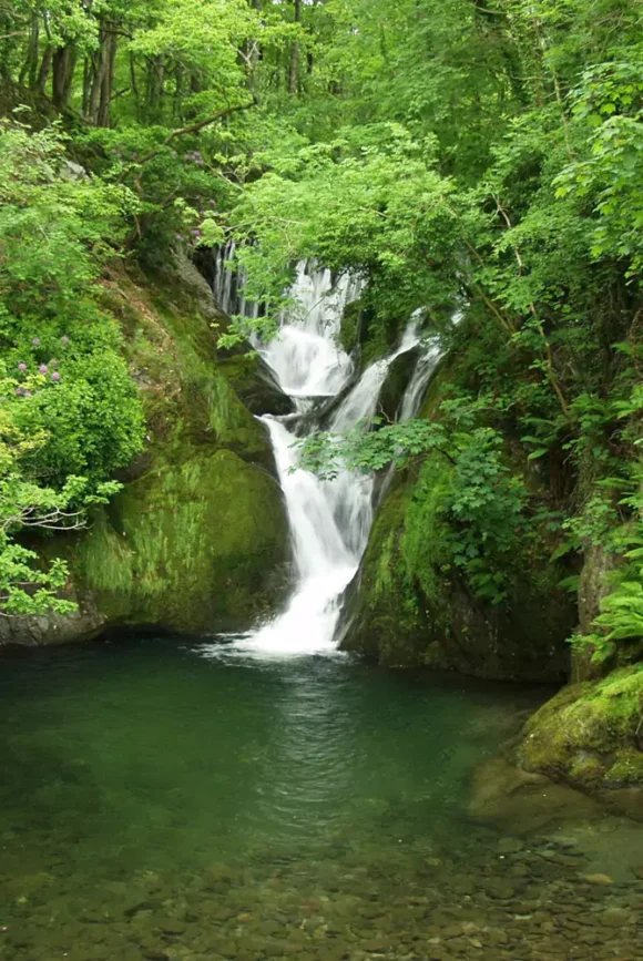 Water That Plays the Oldest Music Sacred Springs and Holy Wells
