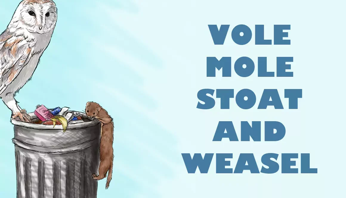 Vole, Mole, Stoat and Weasel