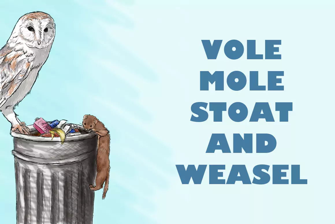 Vole, Mole, Stoat and Weasel