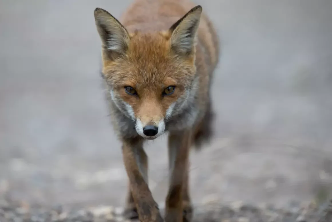 Thomas Winstone Photography