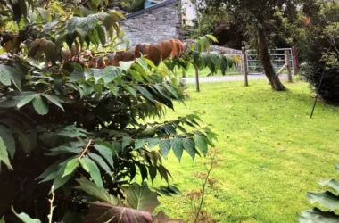 Forge Village Gardens - Bwthyn Cymraeg