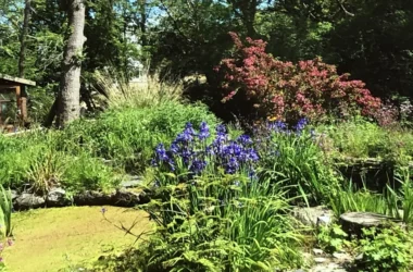 Forge Village Gardens - Bronawel