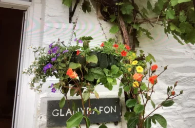 Forge Village Gardens - Glanyrafon