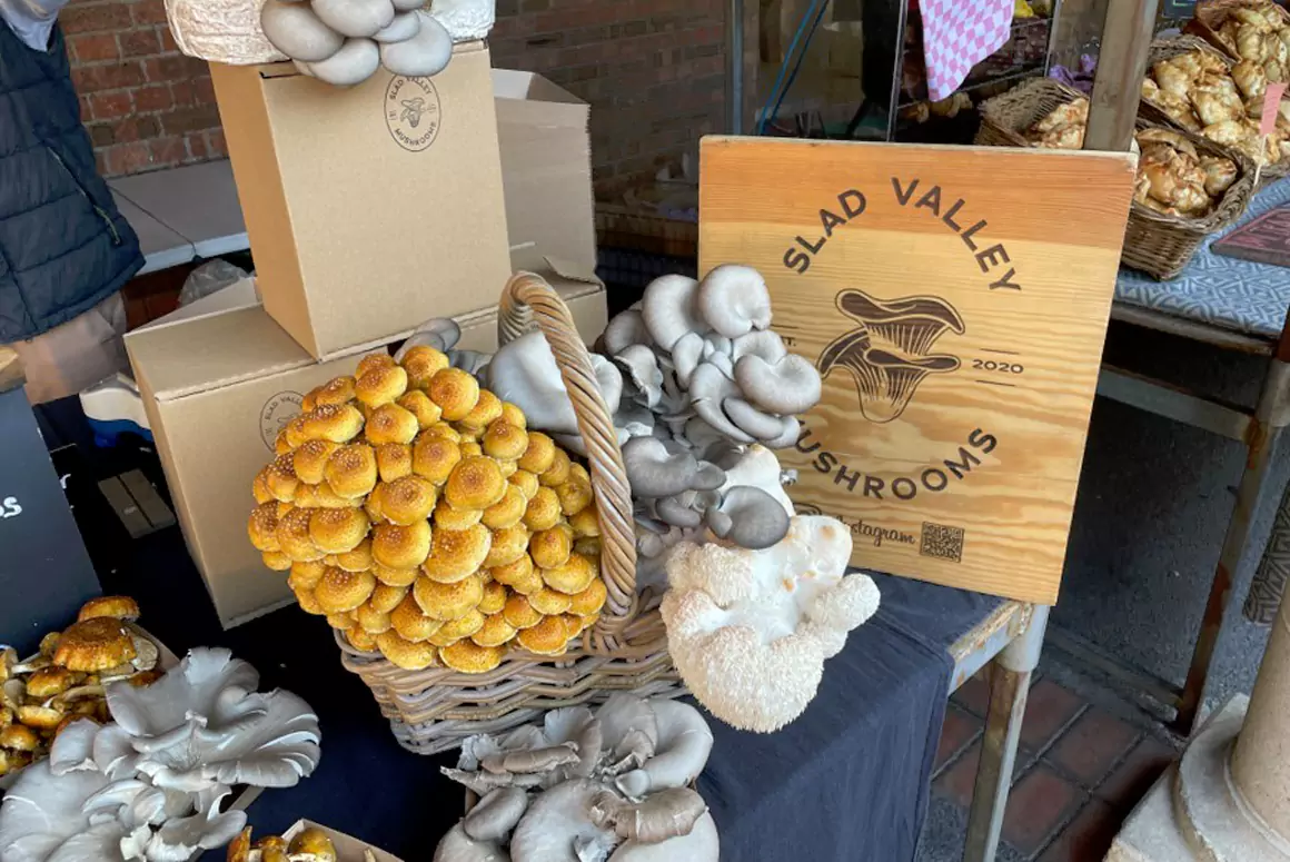 So ‘Mushroom’ for Slad Valley at the Cowbridge Food and Drink Festival!