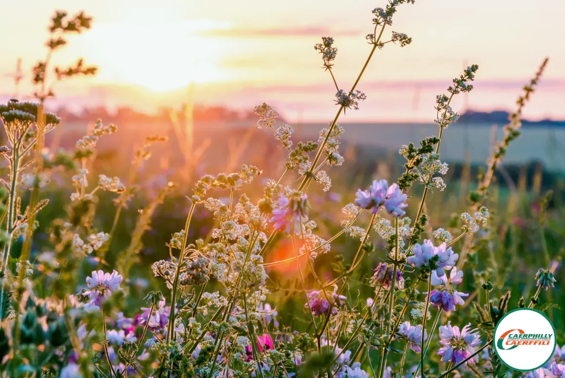 ‘Nature Isn’t Neat’ Came into Force this Spring