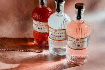 Hensol-Castle-Gin