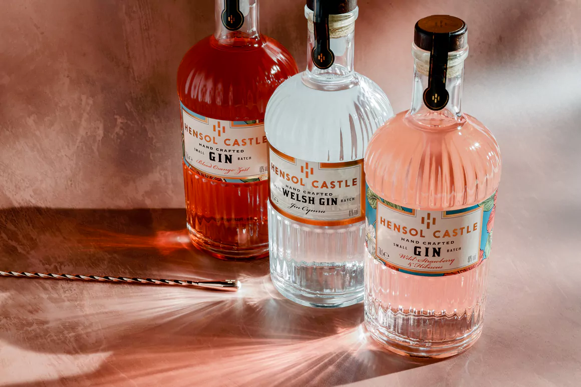 Hensol-Castle-Gin