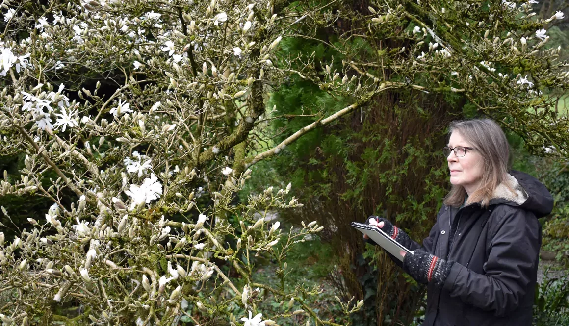 Welsh Marches Garden Attraction Appoints New Artist in Residence