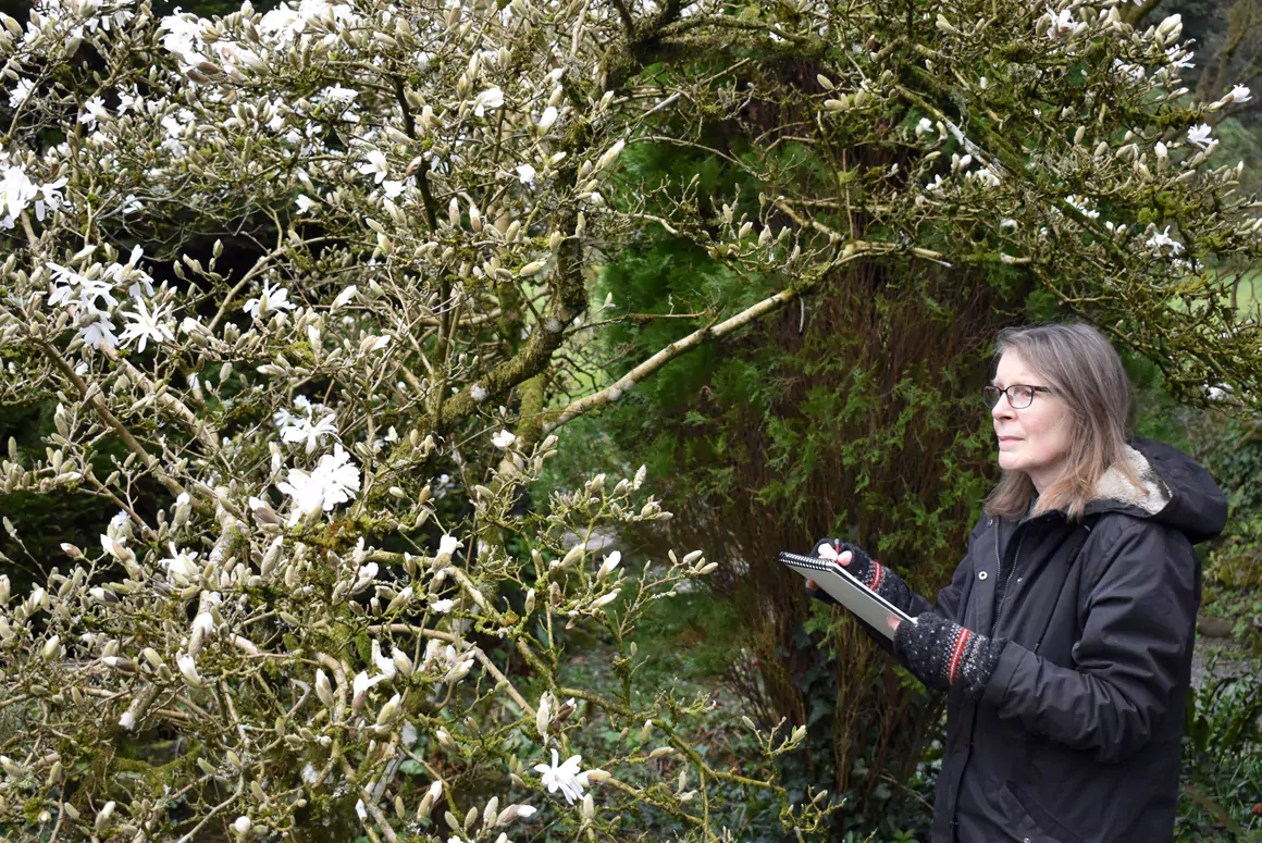 Welsh Marches Garden Attraction Appoints New Artist in Residence
