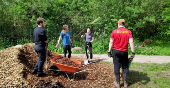 The Tiny Forest Project: An Update