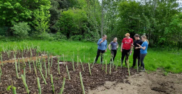 The Tiny Forest Project: An Update