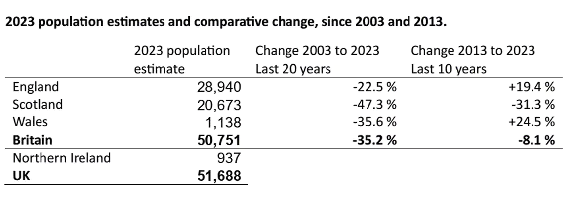 Breeding Woodcock Survey Shows an Ongoing Decline