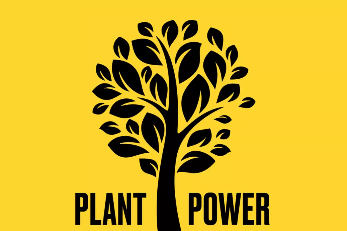 The Tiny Forest Project: An Update