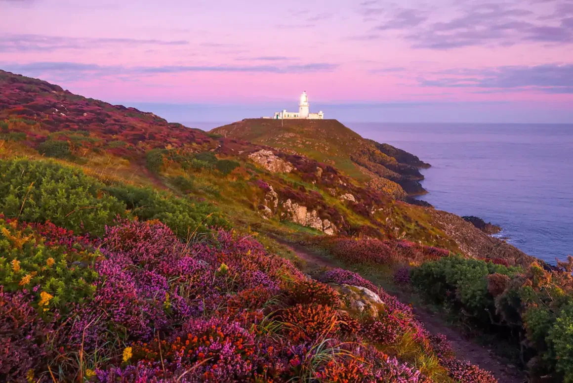 Welsh Society Of Western New England – May 2024