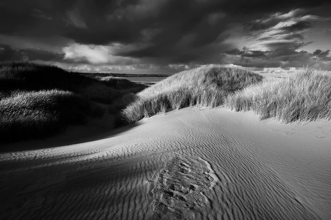 Glyn Davies Photo Artist