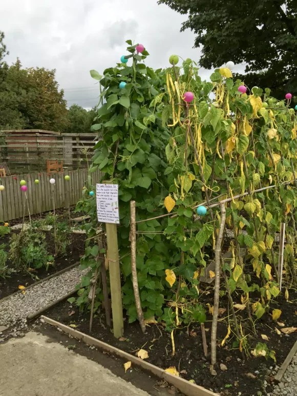 RoseCottage3