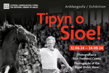 Tipyn O Sioe