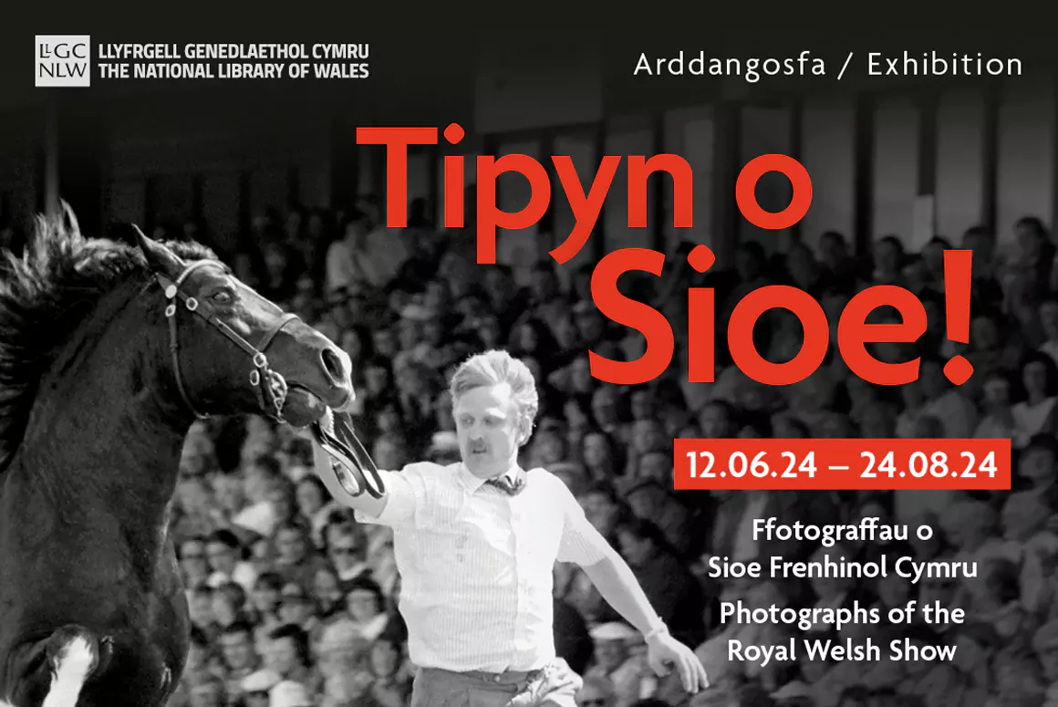 Tipyn O Sioe