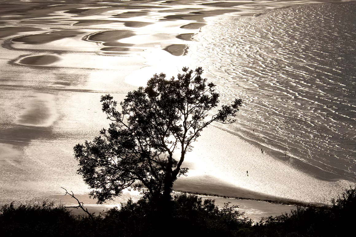 Glyn Davies Photo Artist
