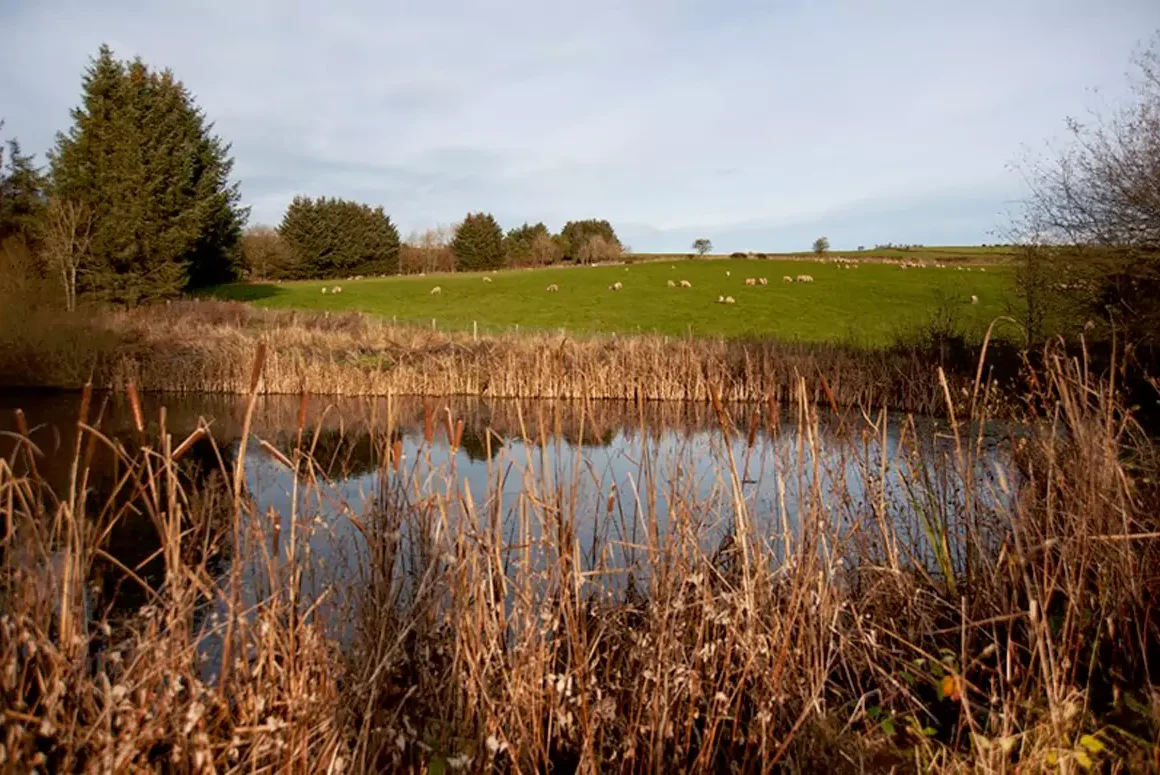 NFU Cymru Responds to Appointment of Independent Chair to Review Water Quality Regulations
