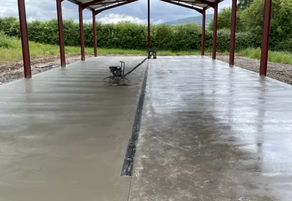Summer 24 Update from White Castle Vineyard