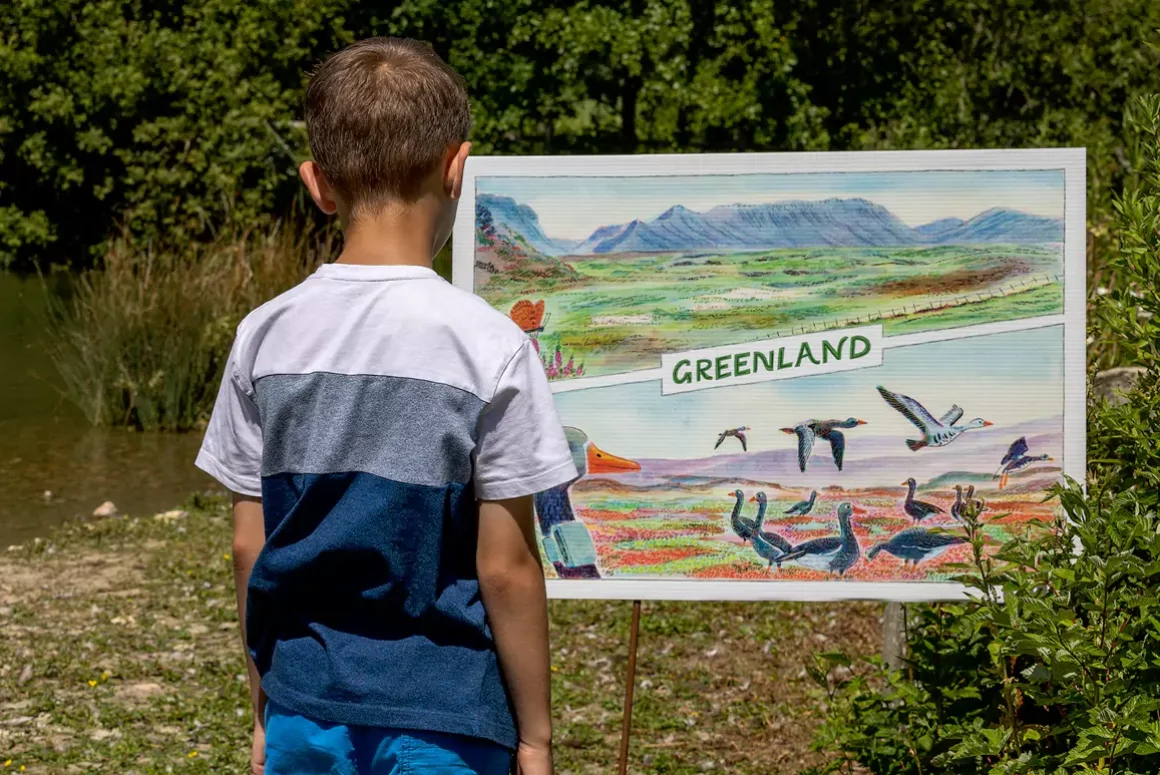 WWT Llanelli Wetland Centre Launches New Postcard Adventure Trail for the Summer Holidays