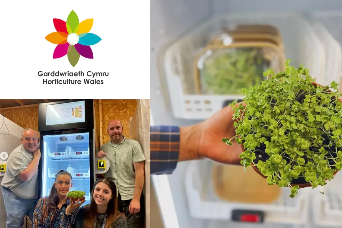 Horticulture Wales Set to Launch Vending Fridges with Free Microgreens! 