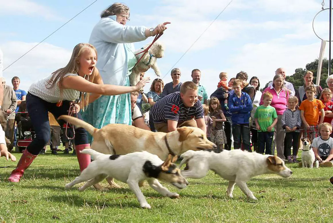 Packed Entertainment Programme for this Year’s Llanfyllin Show