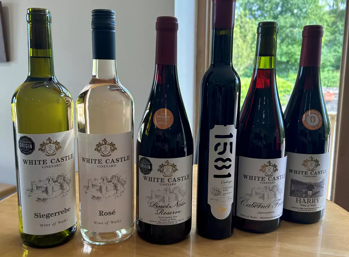 Summer 24 Update from White Castle Vineyard