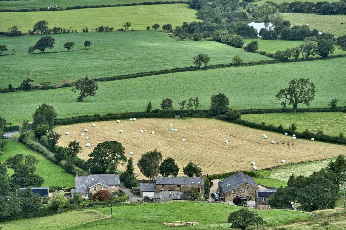 Emergency Loans for Farmers: Navigating Financial Crises
