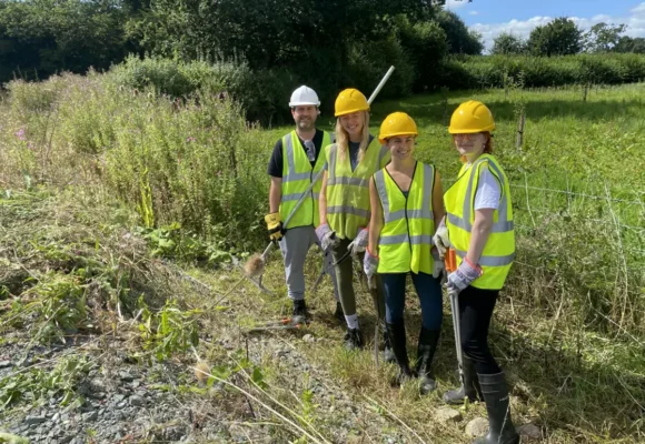 Crickheath South Work Party Report - August 16-18