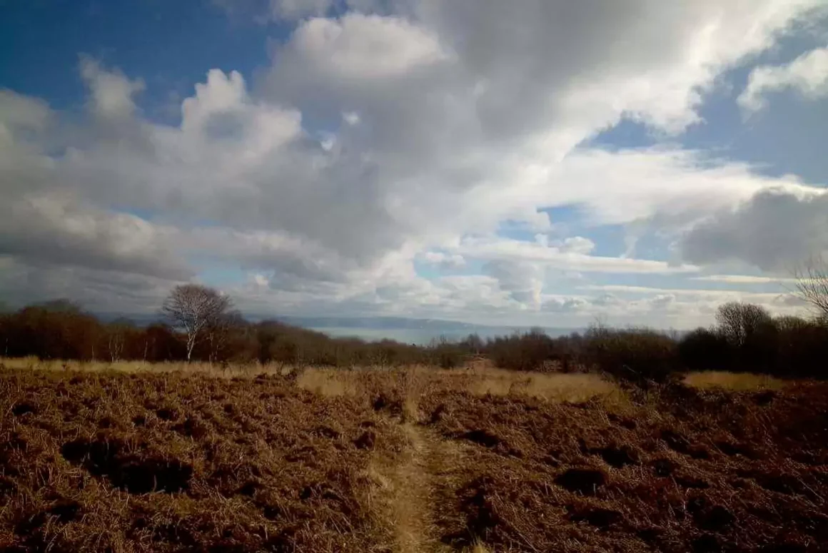 Open Spaces Society Fights Clyne Common Swap at Public Inquiry