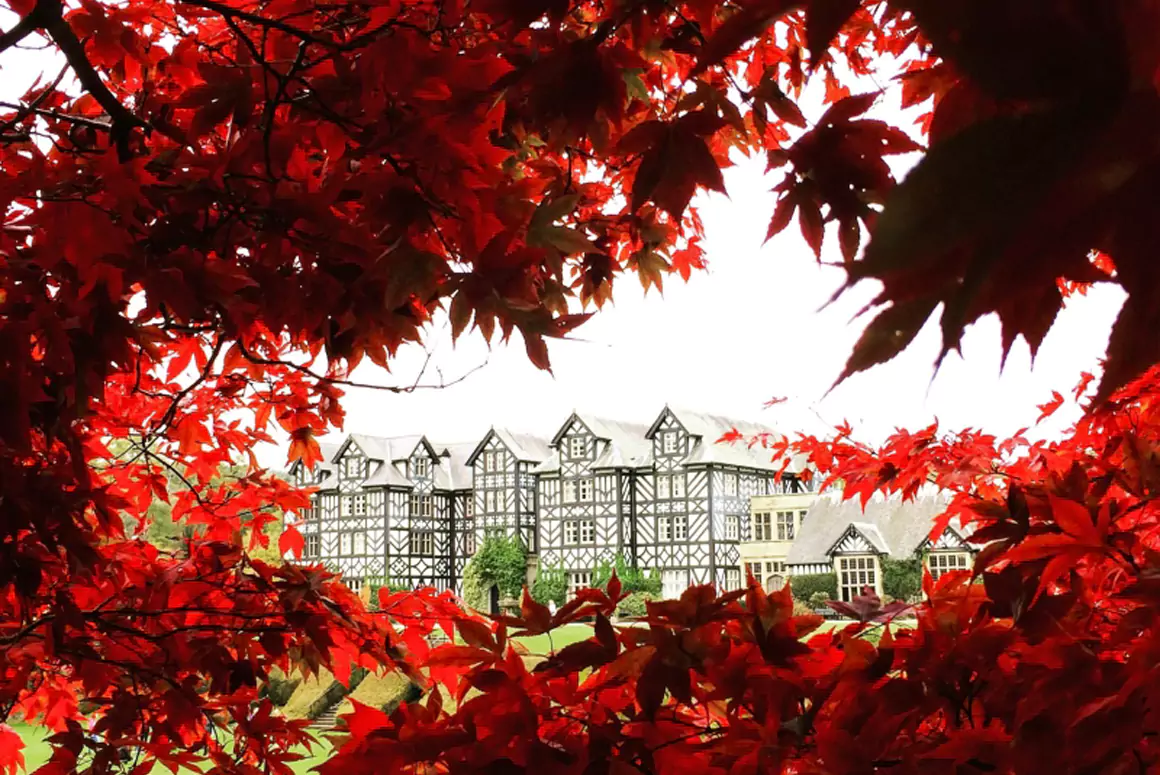 Gregynog Gardens