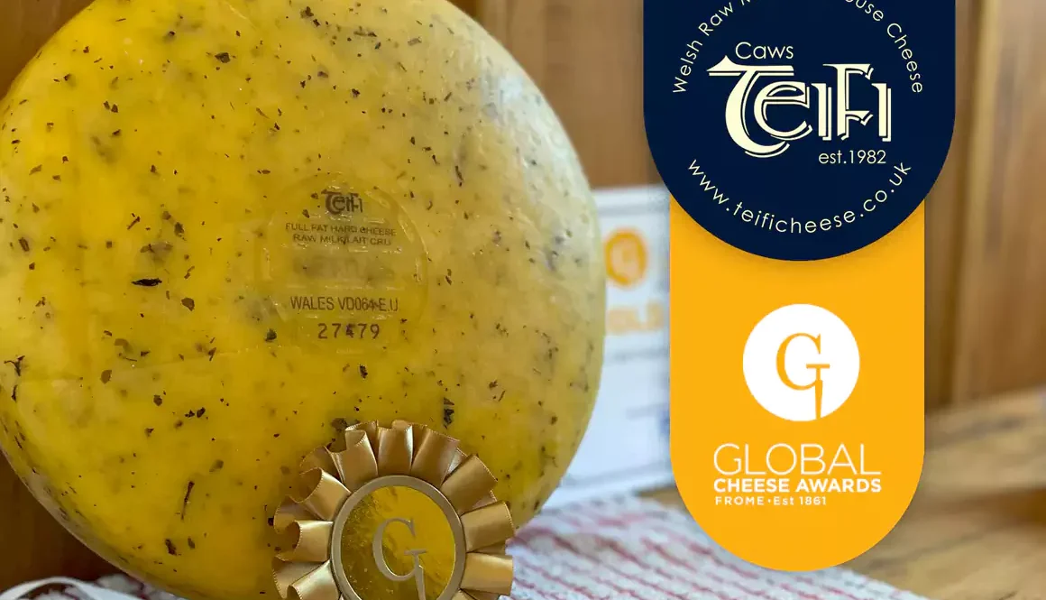 Caws Teifi Wins Gold for Flavoured Cheese at Global Cheese Awards 2024