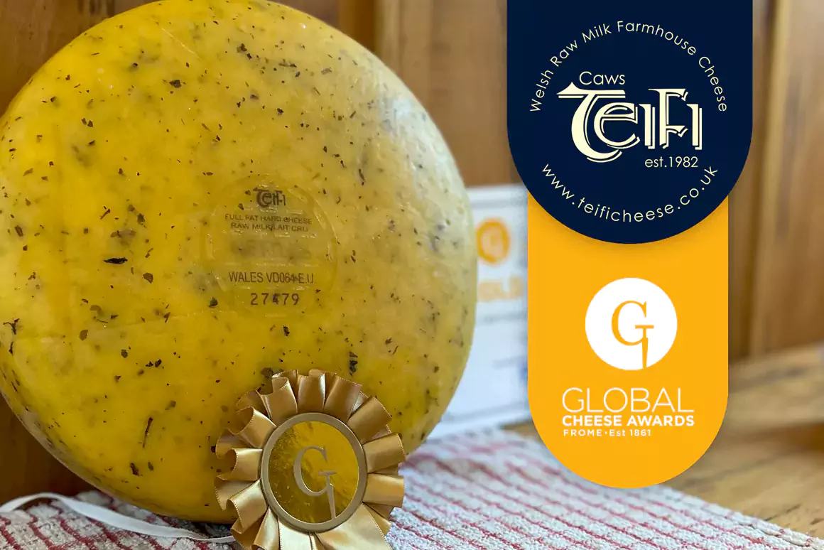 Caws Teifi Wins Gold for Flavoured Cheese at Global Cheese Awards 2024