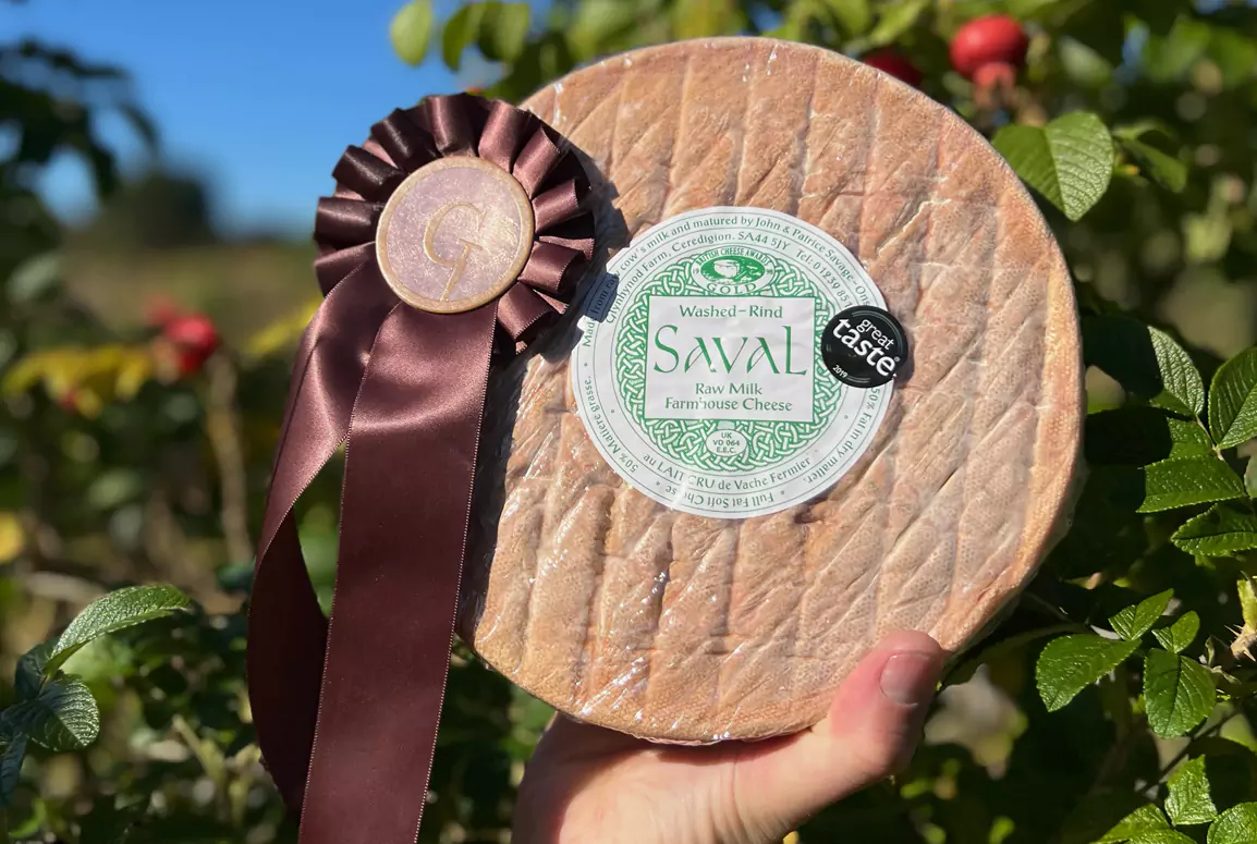 Caws Teifi Wins Gold for Flavoured Cheese at Global Cheese Awards 2024