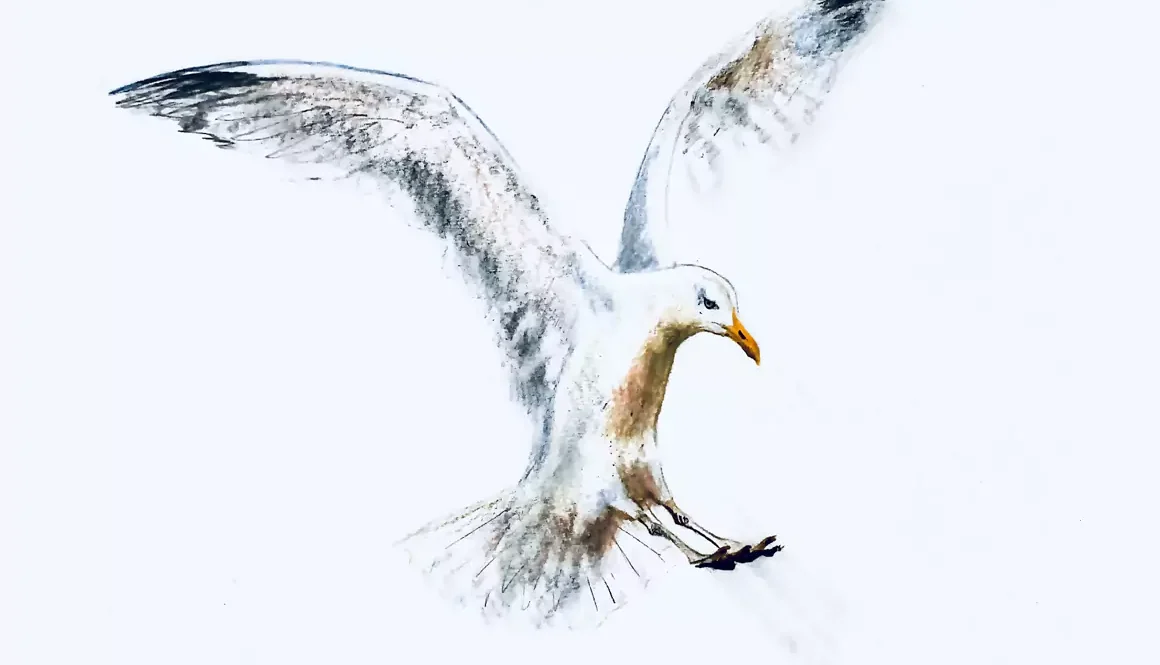 Flying the Nest by Simon Smith