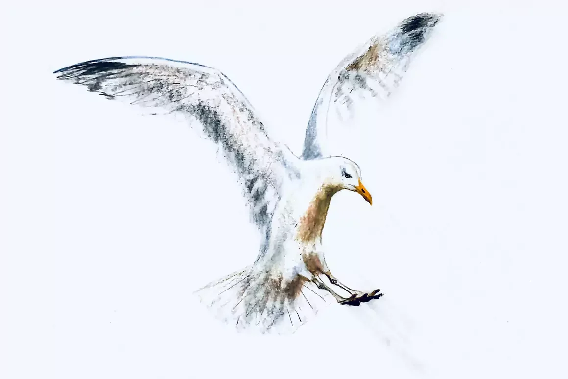 Flying the Nest