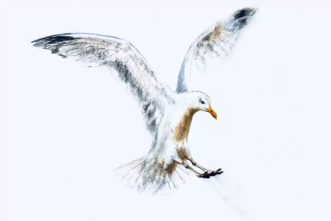 Flying the Nest by Simon Smith