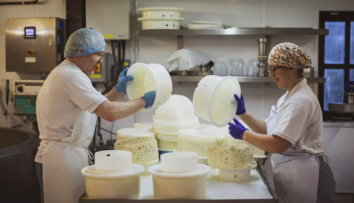 Artisan Cheesemaker in Wales Levels Up Sustainability Efforts with £100,000 NatWest Investment