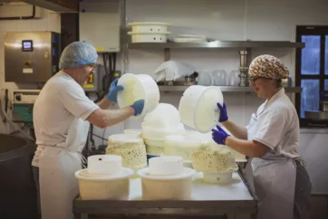 Artisan Cheesemaker in Wales Levels Up Sustainability Efforts with £100,000 NatWest Investment