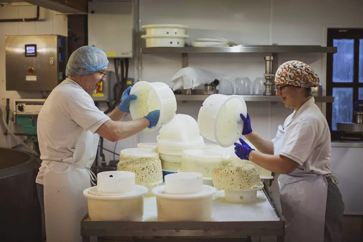 Artisan Cheesemaker in Wales Levels Up Sustainability Efforts with £100,000 NatWest Investment