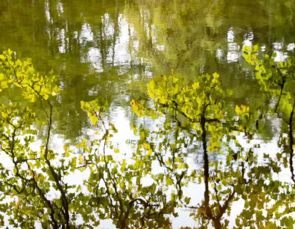 Reflections on Monet - Sea Rae Photography